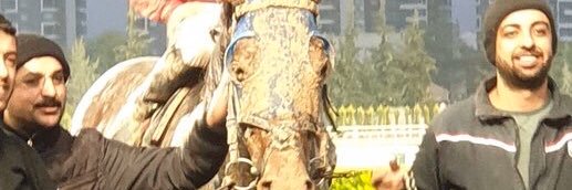 Kadir tekinalp banner