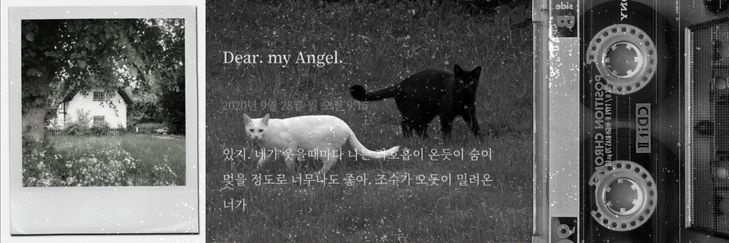 d 🌸 banner