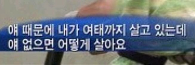 만사 banner