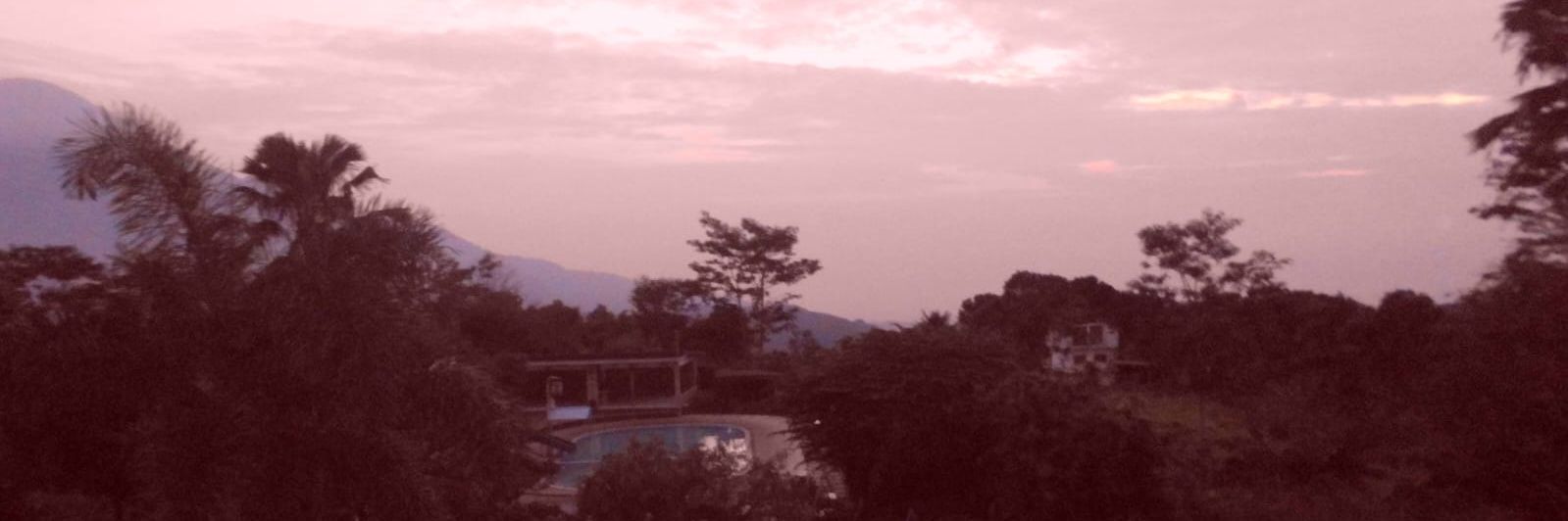 aurililily's profile banner image