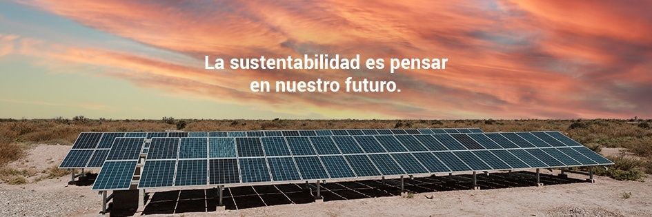 Roberto Righi banner