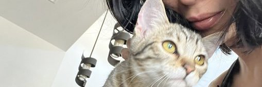 dianeken09's profile banner image