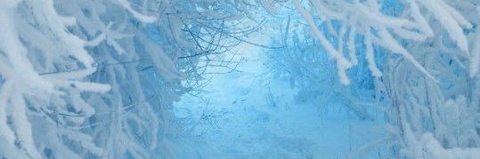 elfinchen﹒♡ ❄️ banner