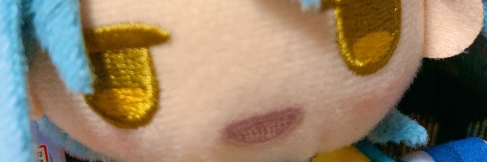 ぬいの🧸 banner