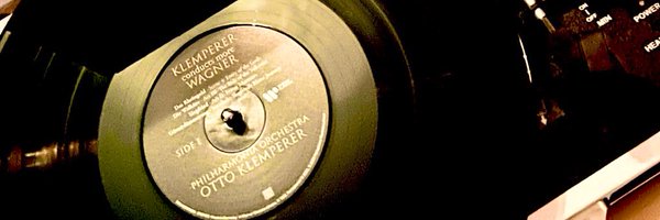 Valkyrie_vv Profile Banner