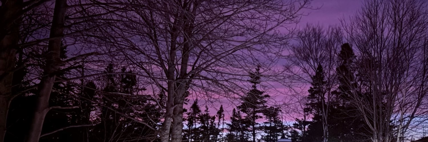 𝚟𝚊𝚕𝚔𝚢𝚛𝚒𝚎 banner