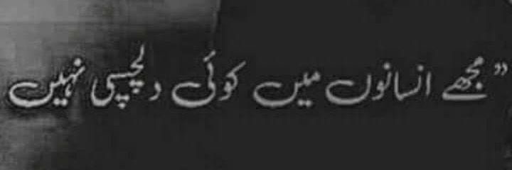 sehro_ali's profile banner image