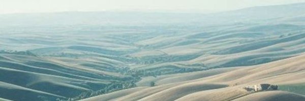 KaFalconwrites Profile Banner