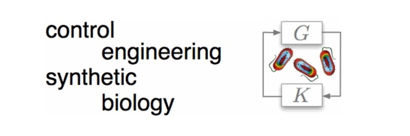 Prof Guy-Bart Stan banner