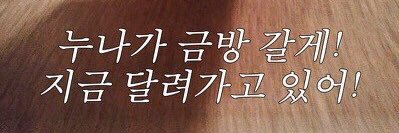 pudding0807_'s profile banner image