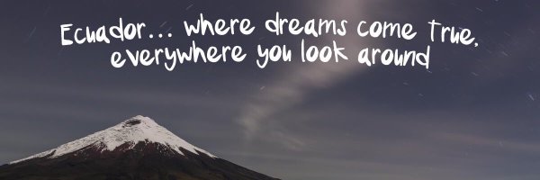 raizzamn Profile Banner