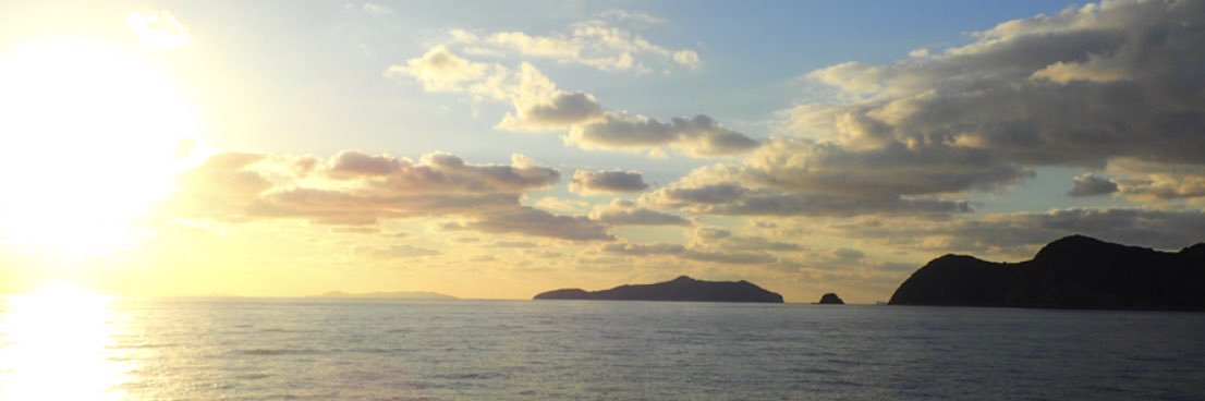 knob (のぶ) banner