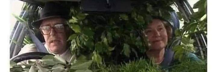 Astranought's profile banner image