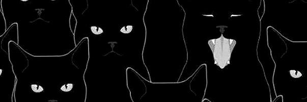 ChristineStorie's profile banner image