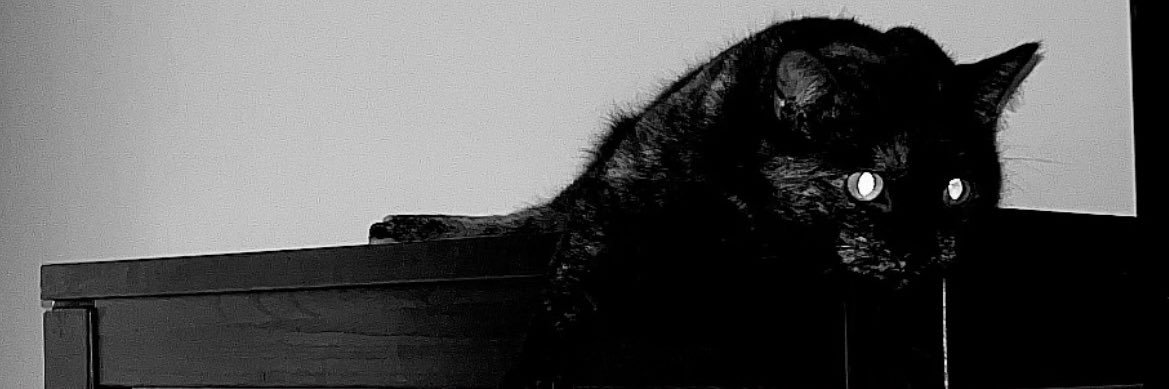 zachthekinggg's profile banner image