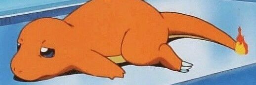 Squirtle in your shell banner