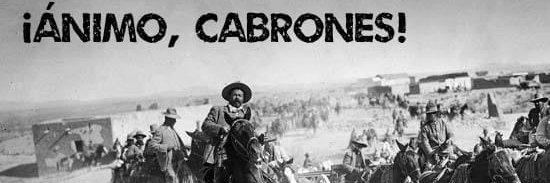 #GuacamayoXoconoscle banner