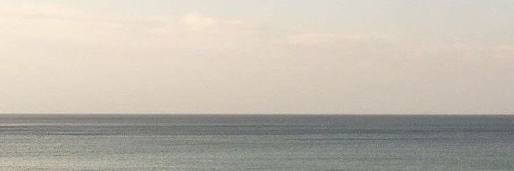 Dariel banner