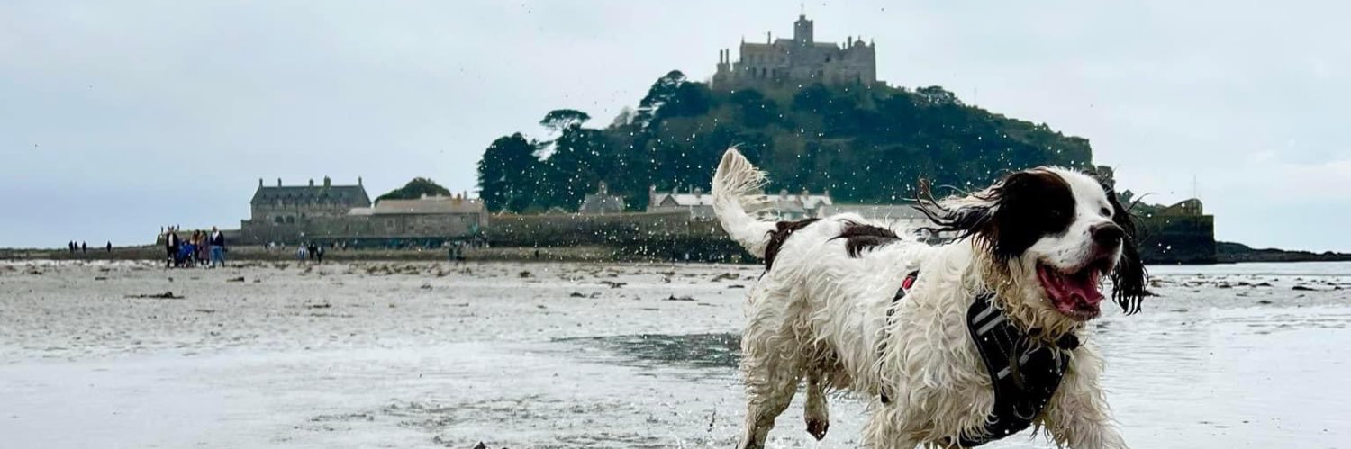 Ellie Edwards banner