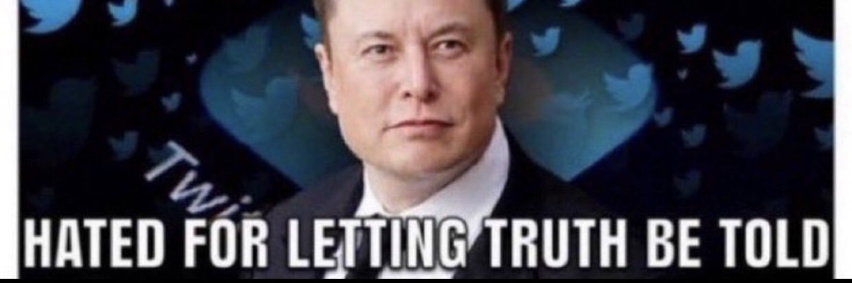Noonibooboo🌮 banner