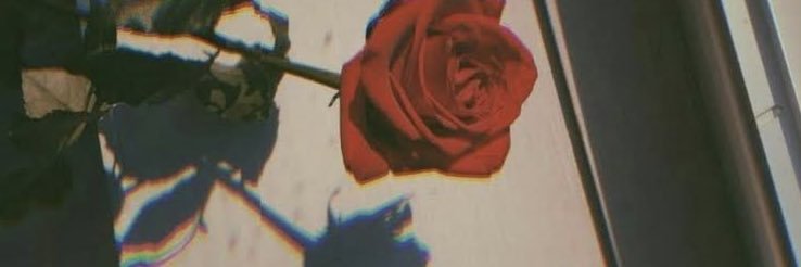 Gabrielle Rose banner