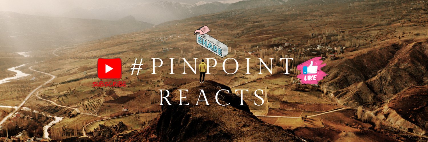 PIN POINT AIM banner
