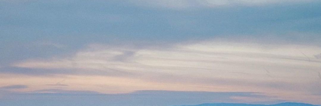 りな banner