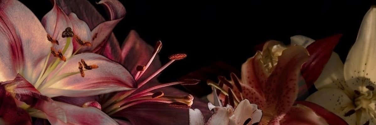 hoonestamente's profile banner image