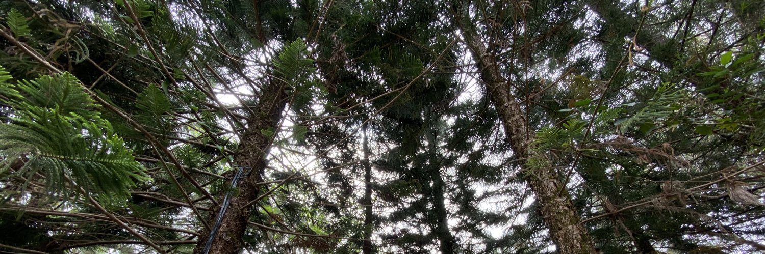 Jessica Fenol banner