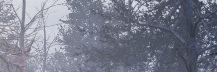 catarina's banner
