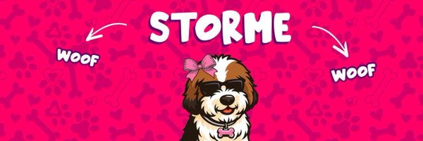 STORMEcoin Profile Banner