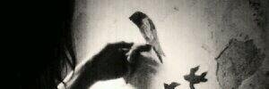 M3rajAlrooh's profile banner image