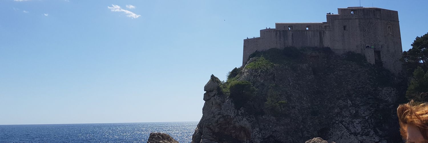 dmolinatoro's profile banner image