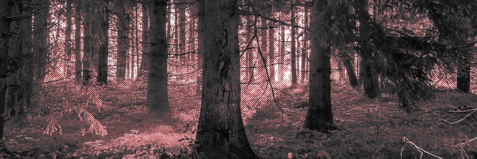 𝐀𝐌𝐎𝐒 banner