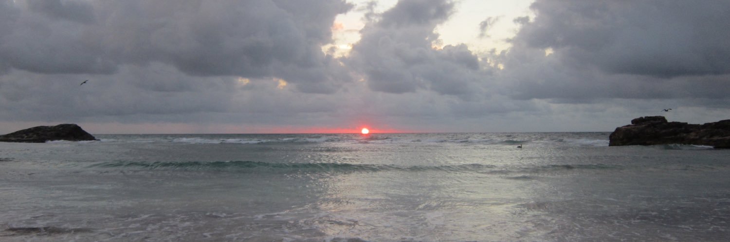 Sapna Parikh, MD, MPH banner