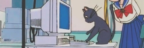 luisdile02's profile banner image