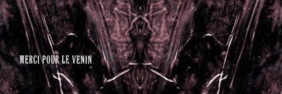 Daily Way brothers's banner