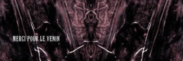 dailyWaybro Profile Banner