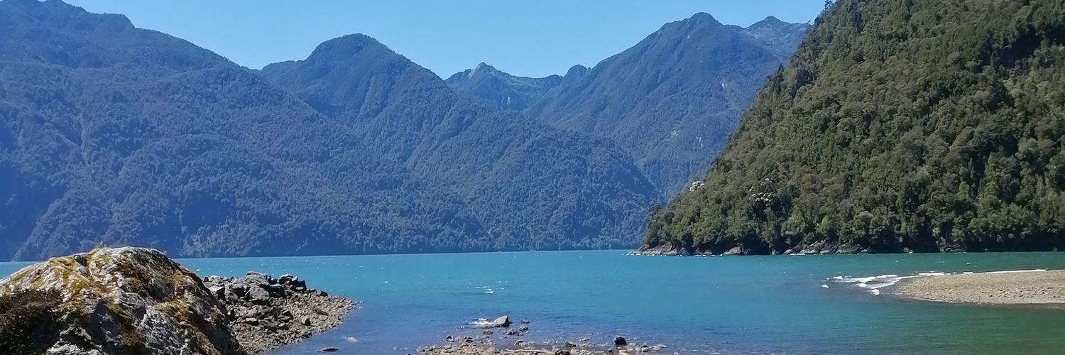 Andrea Paz banner