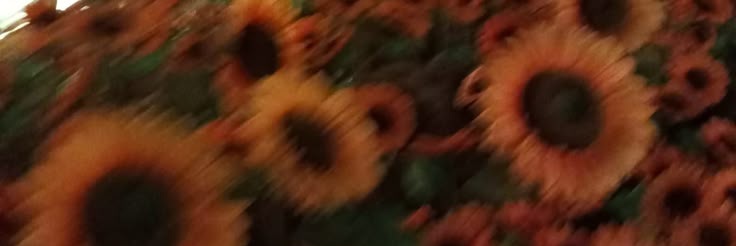 Pablo maior hater do Yuno lixo banner