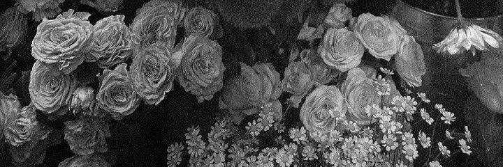 ⋆. zaza²⁶۶ৎ | free tag TO banner