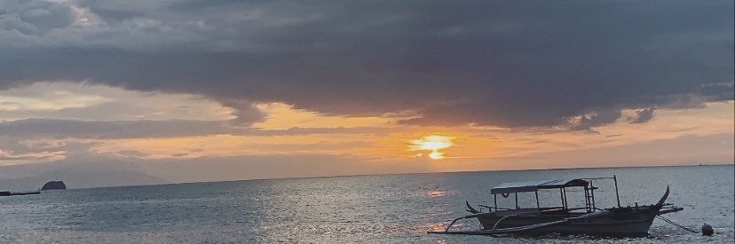 callmeginelle's profile banner image