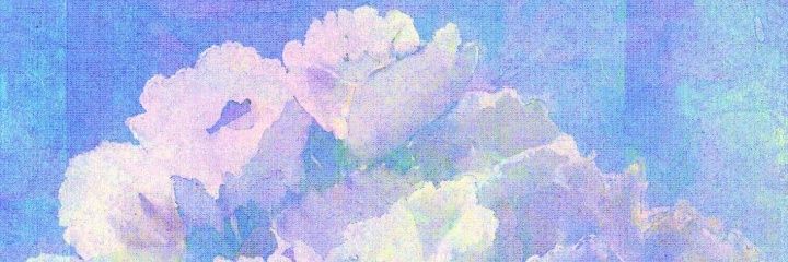 Sisyphus0203's profile banner image