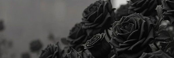 Red__glove Profile Banner