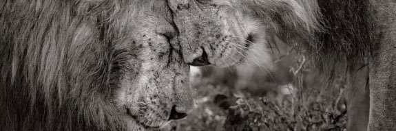 Raquelitagui's profile banner image