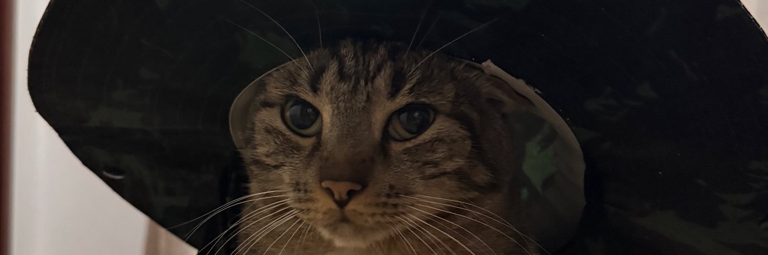 WillZacara2's profile banner image