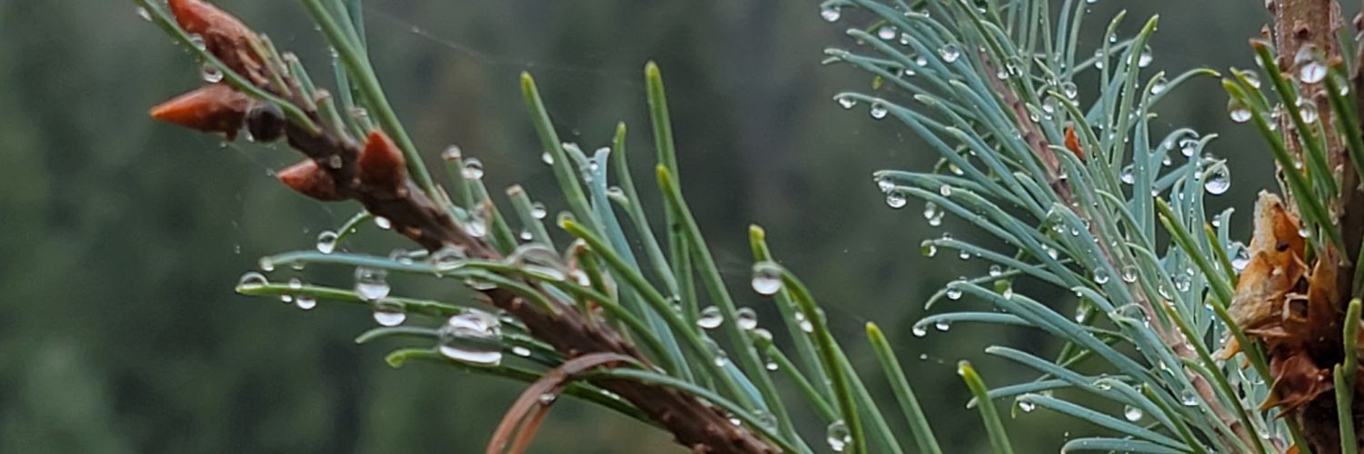 TheHayStings's profile banner image