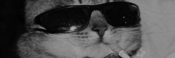 technologyyyaaa Profile Banner