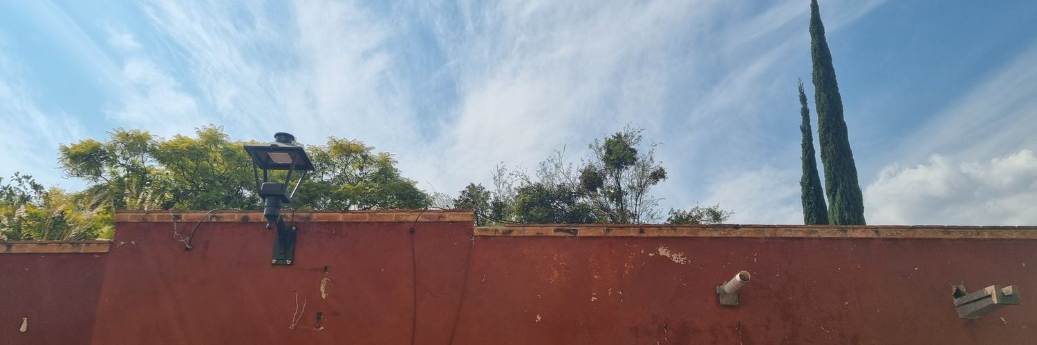 darinka_oa's profile banner image