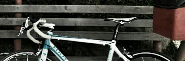 Carlos Ramírez banner